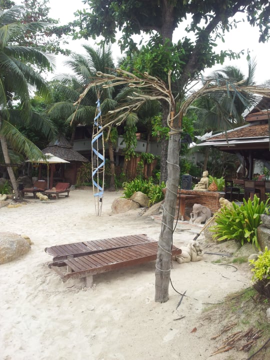Liegen unter der Palme Muang Samui Spa Resort