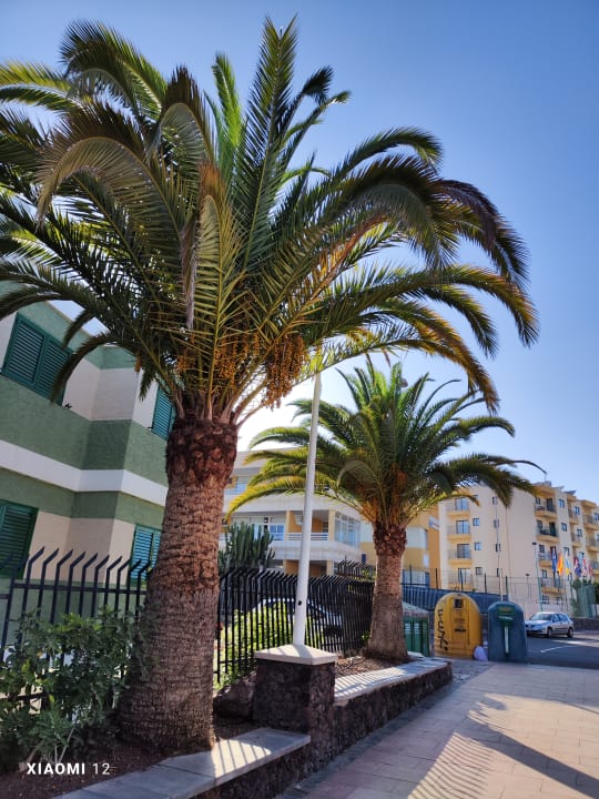 Sonstiges LABRANDA Marieta - Adults only