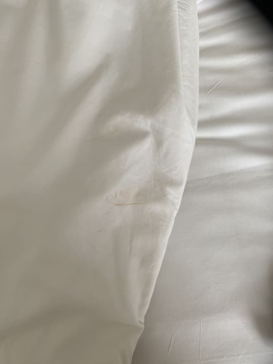 Zimmer Los Olivos Beach Resort