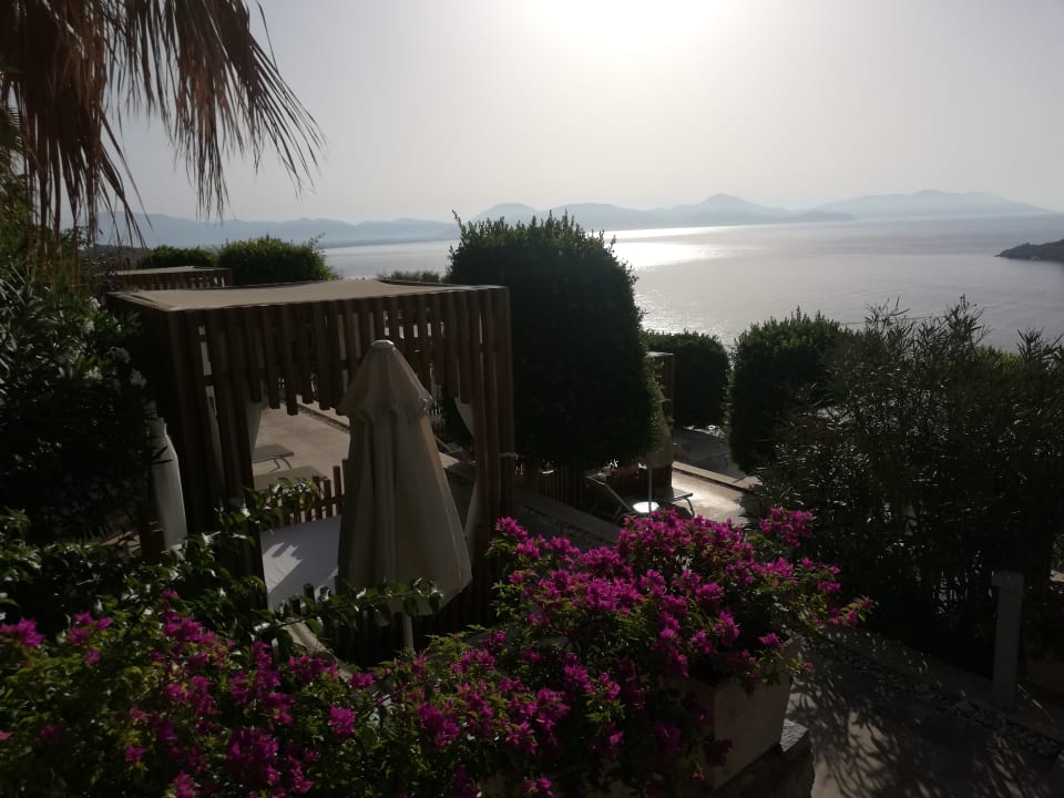 Ausblick TUI BLUE Seno - Adults Only
