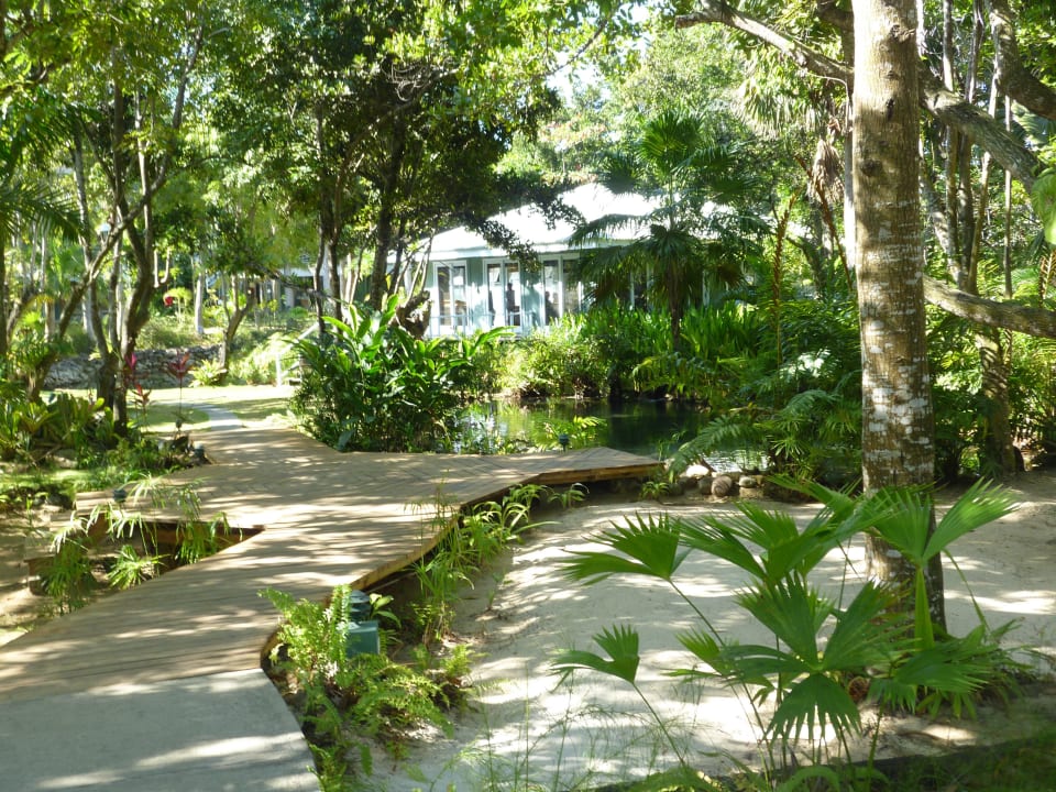 Garten Couples Negril - Adults only