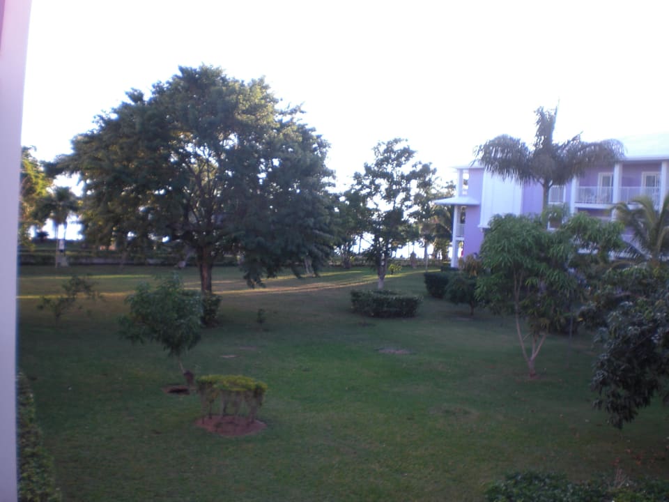 Balkon Hotel Riu Negril