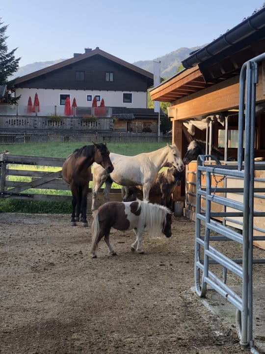 Sonstiges Hotel Auhof