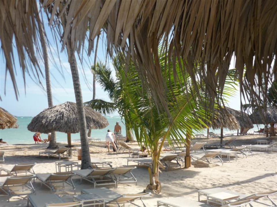 Strand Catalonia Royal Bavaro - Adults only