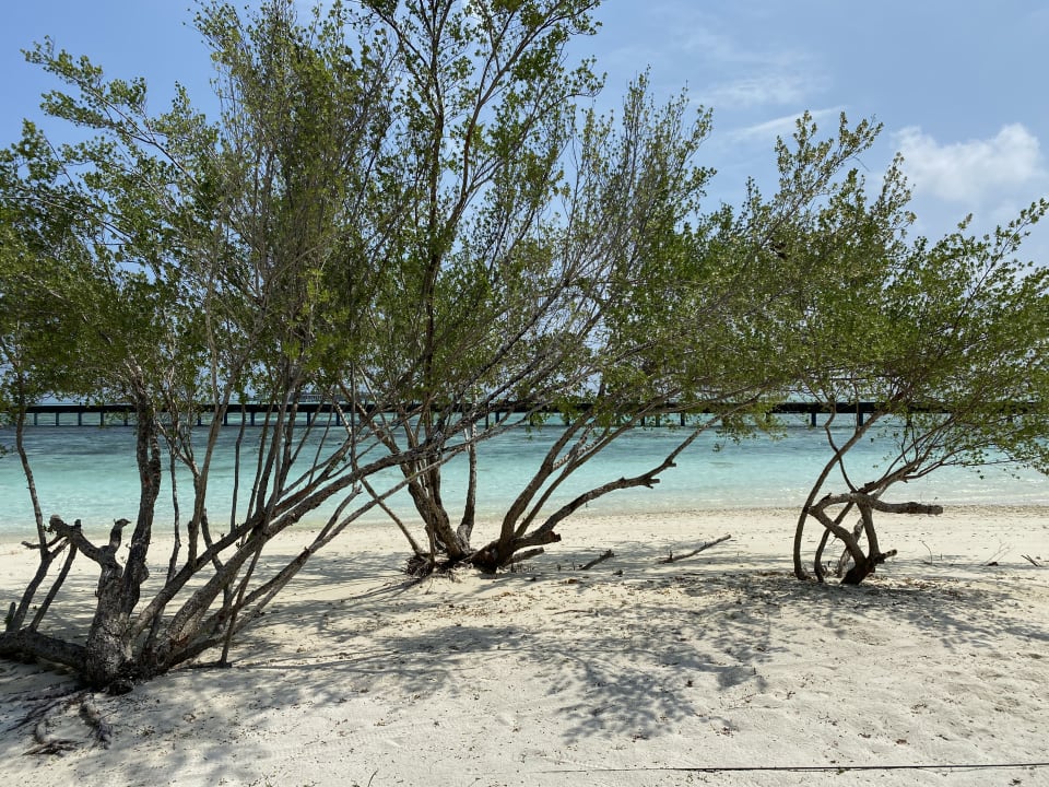 Strand Adaaran Select Hudhuran Fushi - Premium All Inclusive