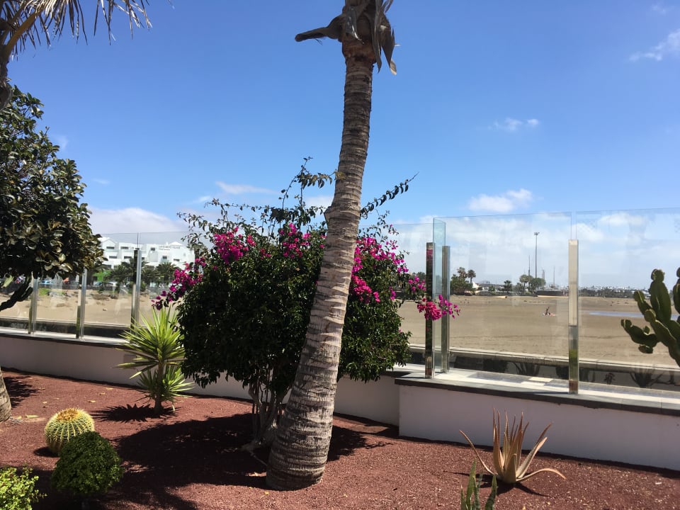 Gartenanlage Hotel Las Costas