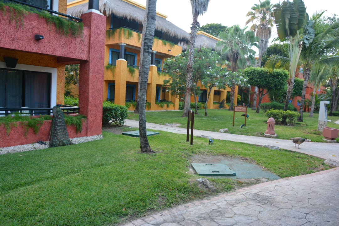 Die einzelnen Häuser alles sauber Iberostar Waves Tucan