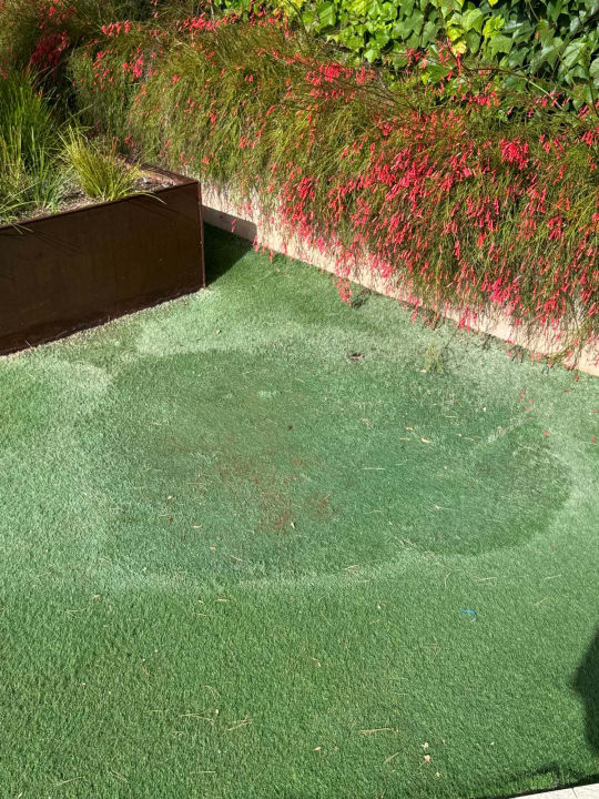 Gartenanlage Zafiro Palace Andratx