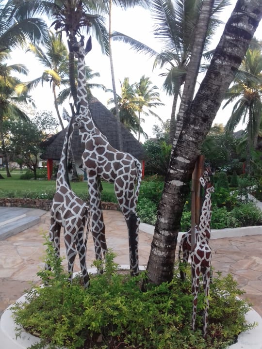 Gartenanlage Hotel Kiwengwa Beach Resort