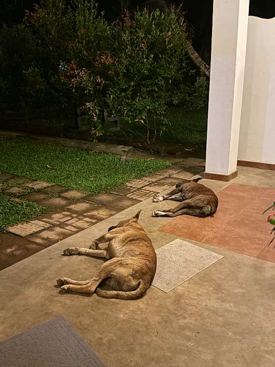 Gartenanlage Manel Villa