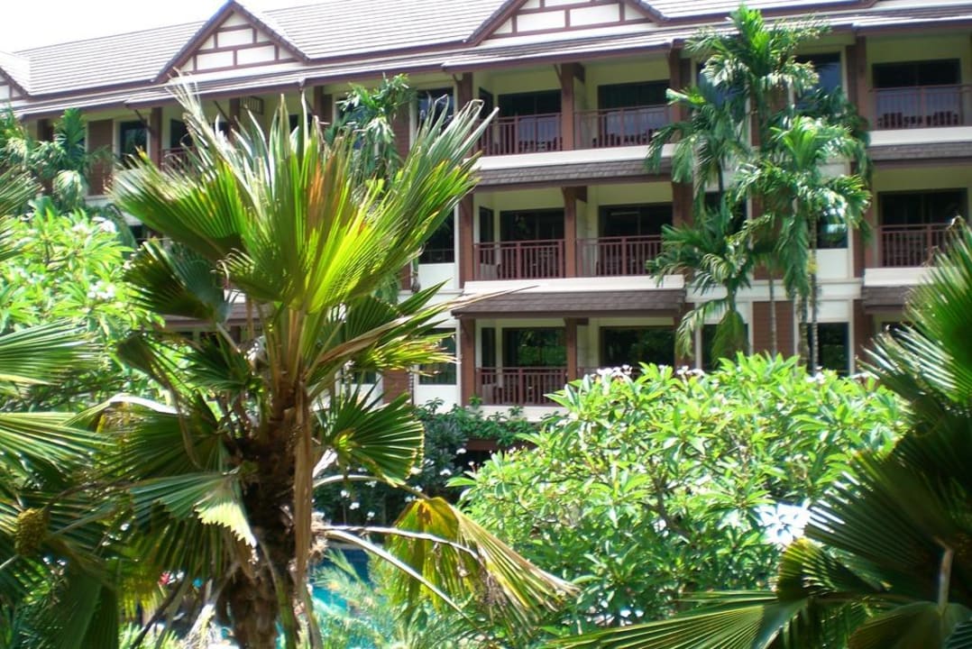 Blick vom Pool Kata Palm Resort & Spa