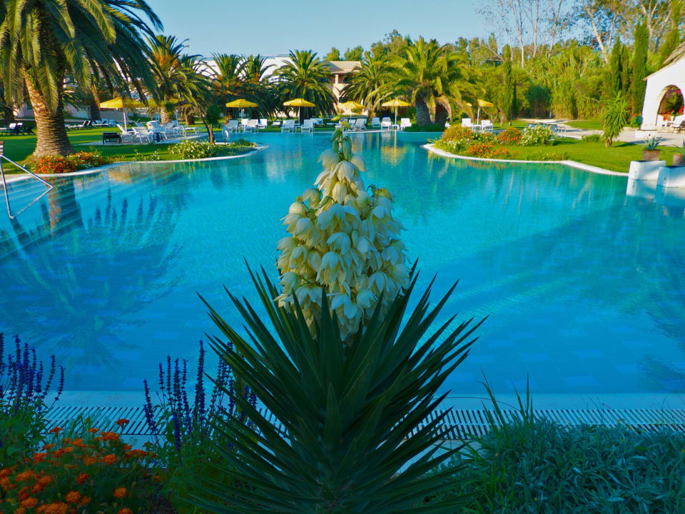 Wunderbarer Outdoor-Pool St. George's Bay Country Club