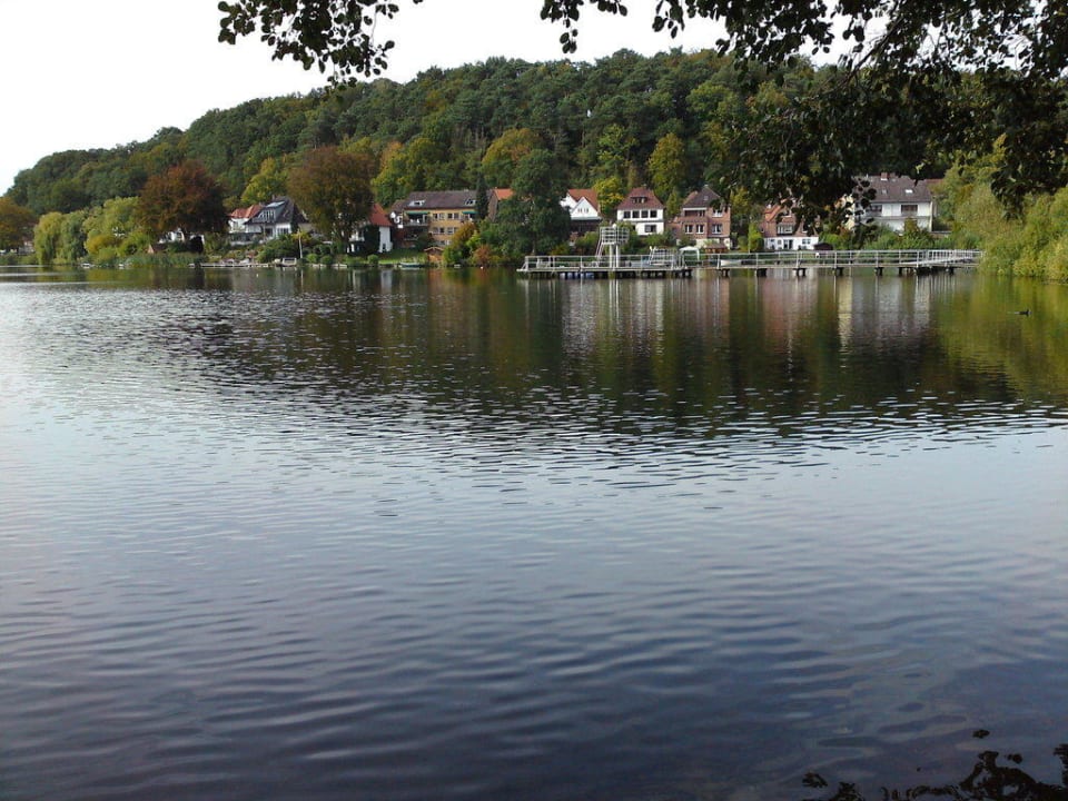 Ausblick vom Hotel Seehotel Schwanenhof