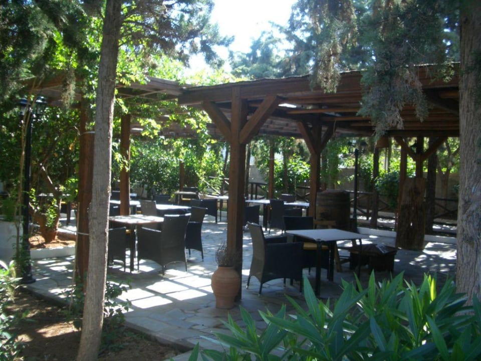 Alexander Beach Taverne Alexander Beach Hotel & Village Resort