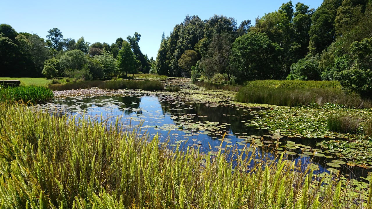 Gartenanlage Hotel Lily Pond Lodge
