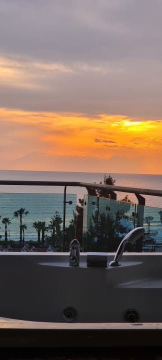 Zimmer Side Star Elegance