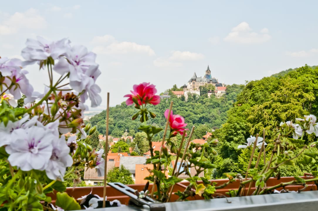 Ausblick REGIOHOTEL Schanzenhaus Wernigerode