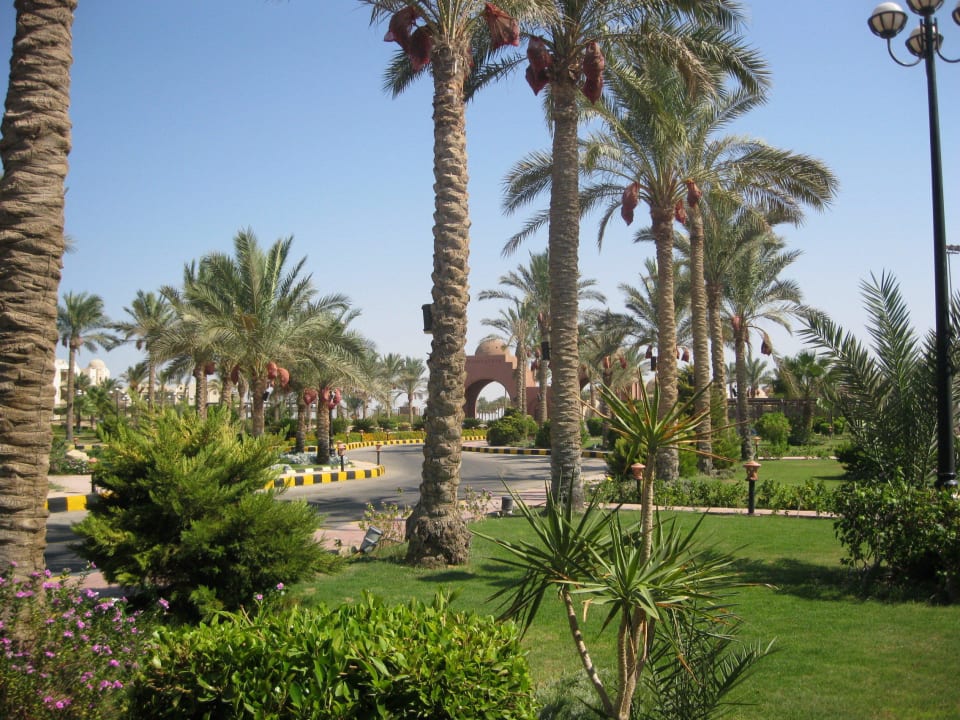 Davanti resort Swisstouch Oriental Resort Marsa Alam