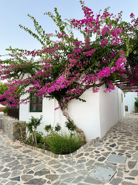 Außenansicht Creta Maris Resort