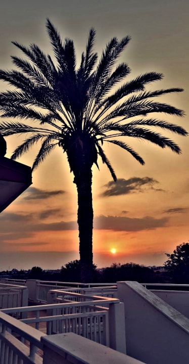 Ausblick Salamis Bay Conti Resort Hotel & Casino