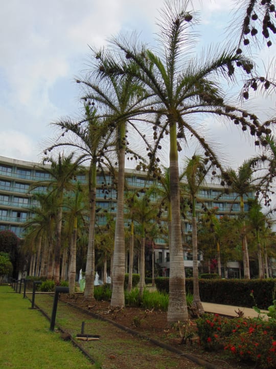 Außenansicht Sofitel Malabo Sipopo Le Golf