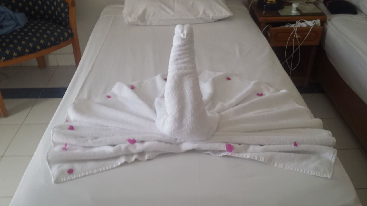 The cleaningmans work Desert Rose