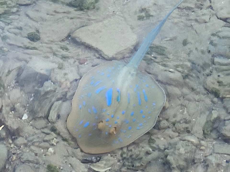 Strand Arabella Azur Resort