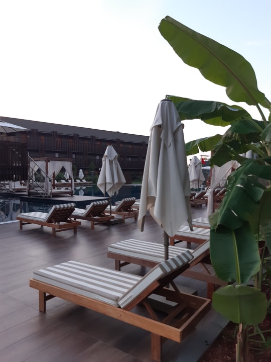 Pool Jacaranda Luxury Resort