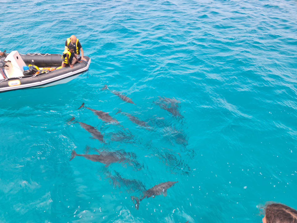 Sport & Freizeit Shams Alam Beach Resort