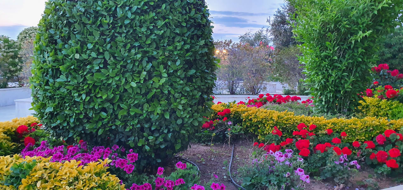 Gartenanlage Belek Beach Resort Hotel