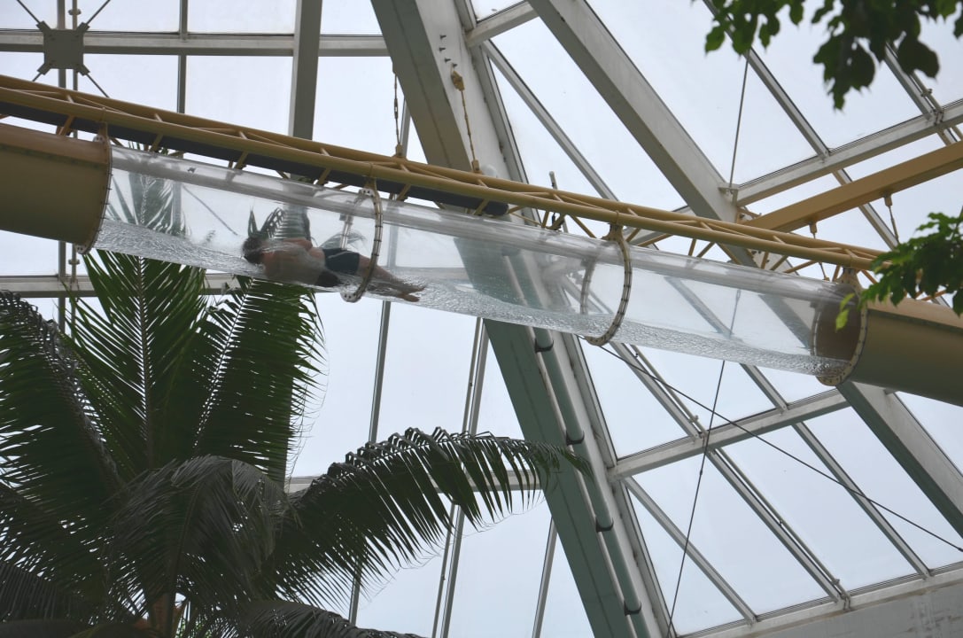 Schwimmbad  Center Parcs De Vossemeren