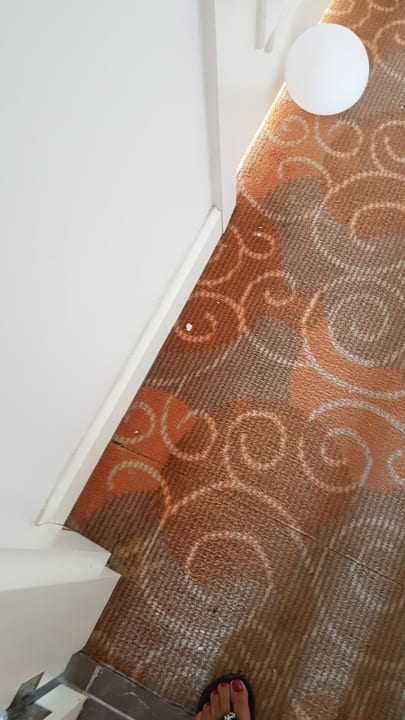 Zimmer Well Palace Side