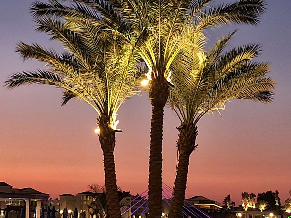 Ausblick Albatros Makadi Resort