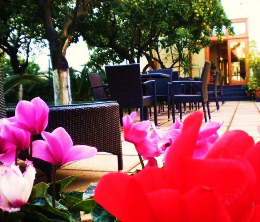 Giardino Hotel Diana Hotel Diana Pompei