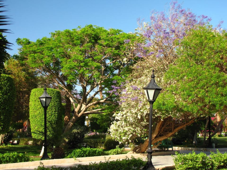 Garten The Grand Hotel Hurghada