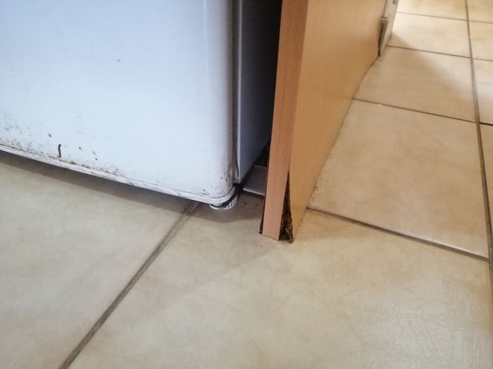 Zimmer Tsokkos Paradise Village