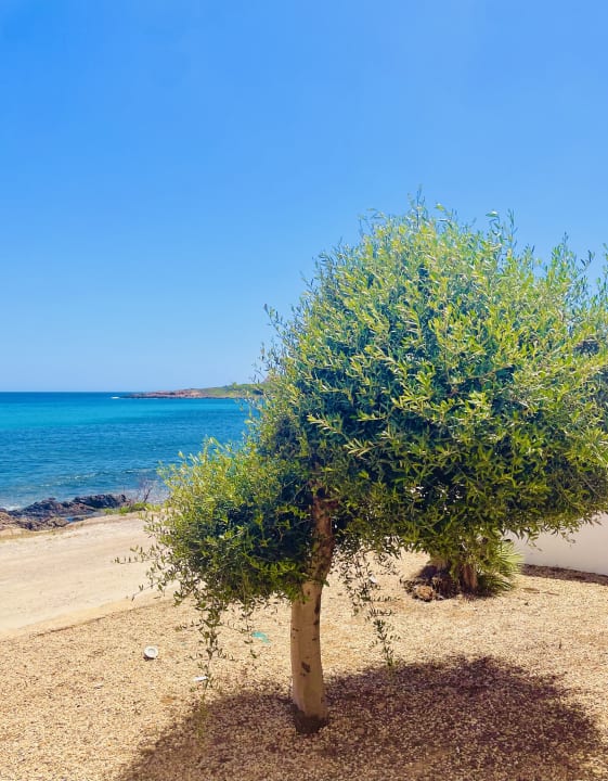Gartenanlage Grupotel Aguait Resort & Spa - Adults only