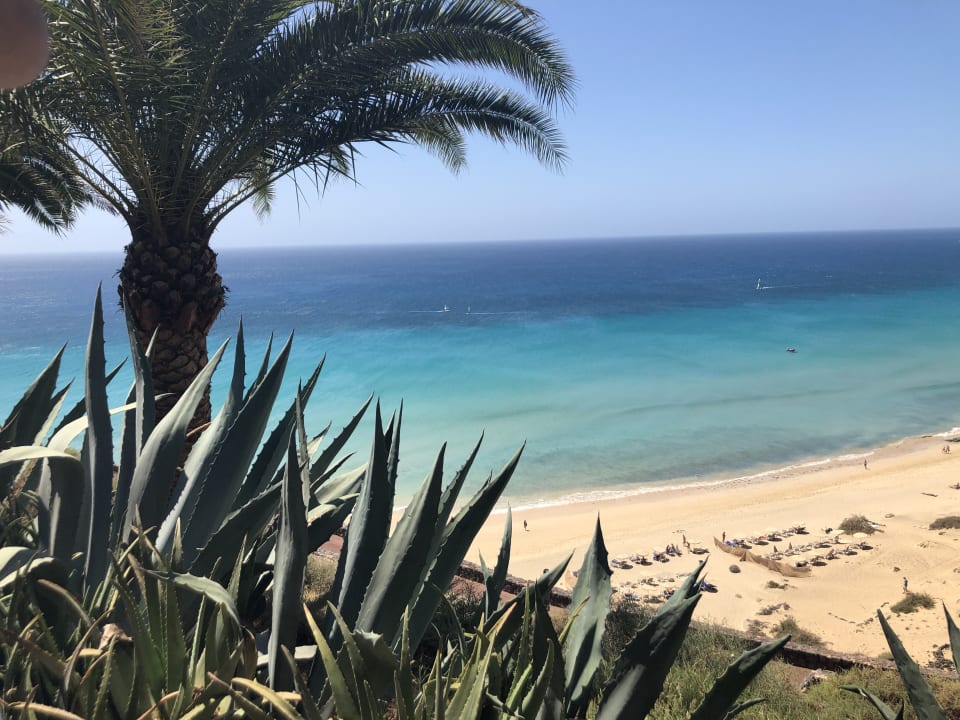Ausblick ROBINSON ESQUINZO PLAYA
