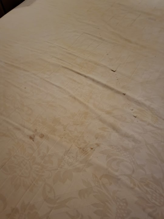 Zimmer Regina Resort and Aqua Park Hurghada