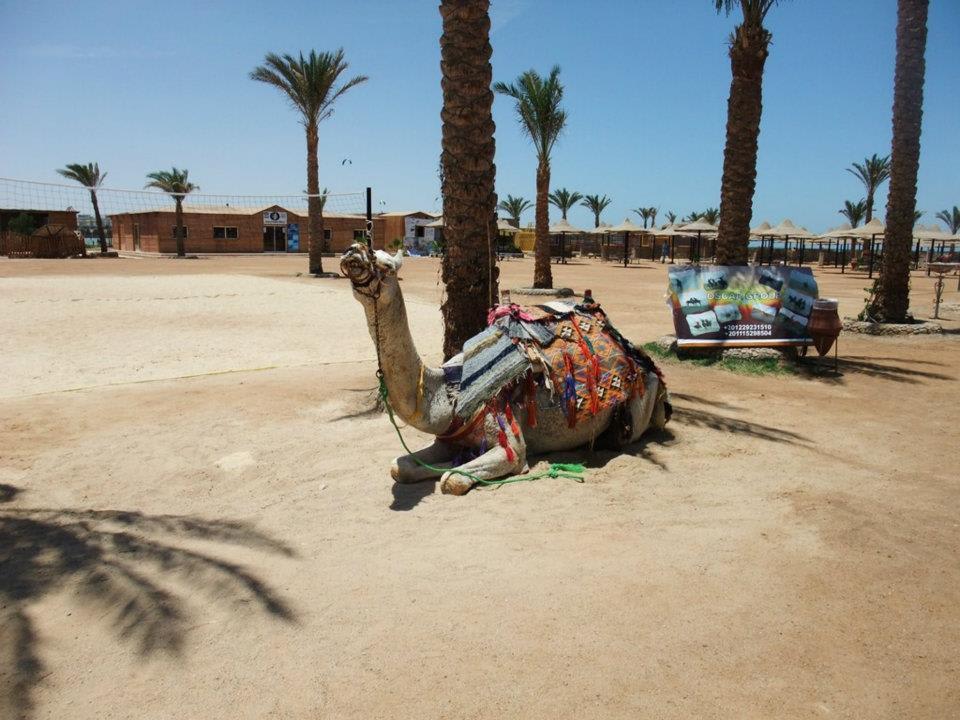 Stände usw. am Strand Riviera Aqua Park Resort