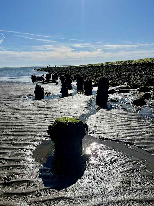 Strand Hotel Am Damenpfad mit Haus Seeblick