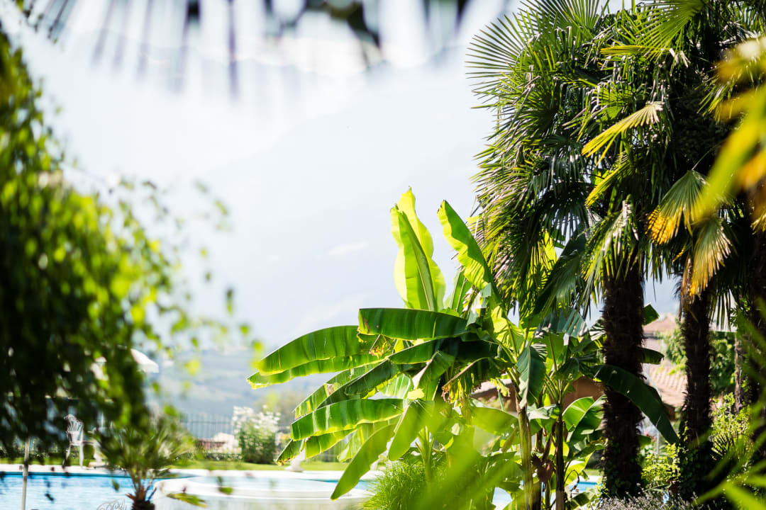 Gartenanlage Hotel Lagrein