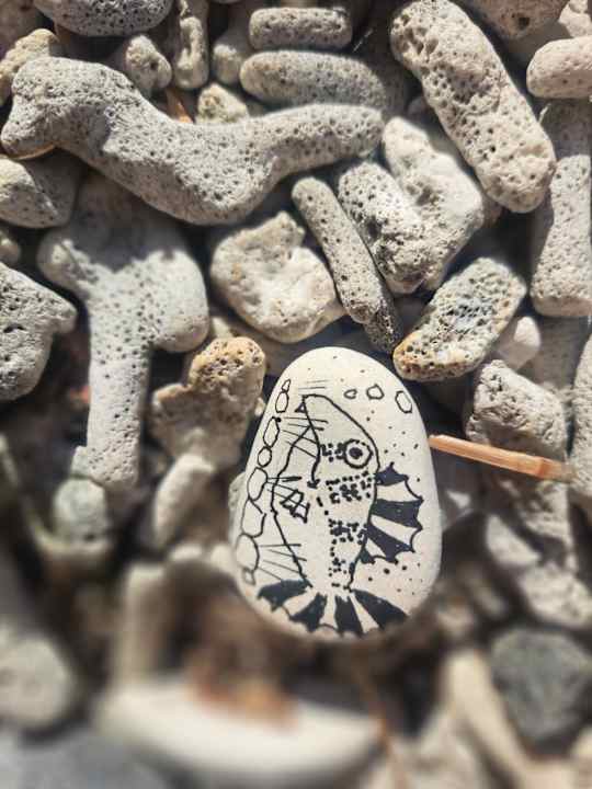 Gartenanlage Le Meridien Ile Maurice