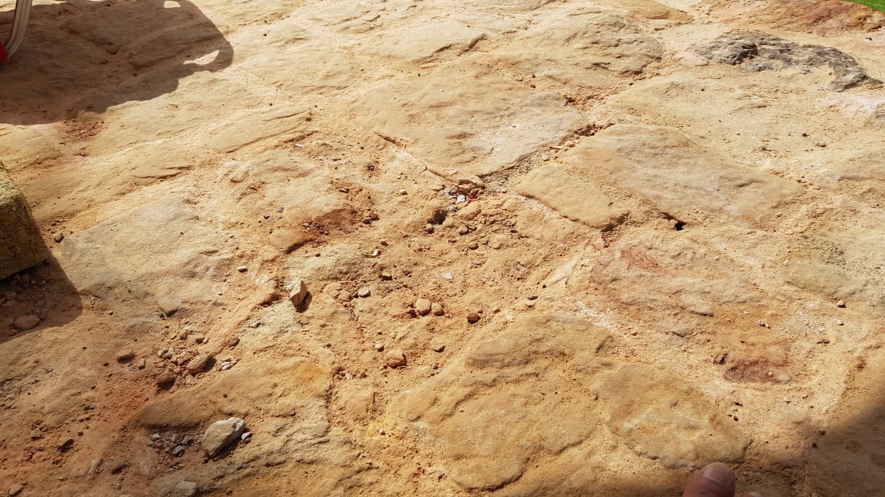 Außenansicht Steigenberger Coraya Beach - Adults only