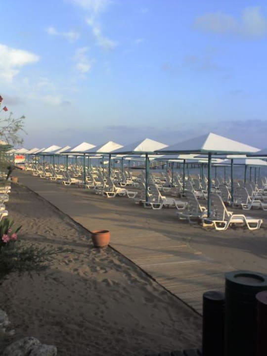 Strand PALOMA Perissia