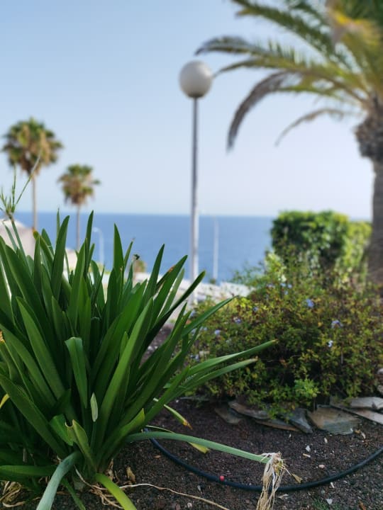 Gartenanlage Marina Elite All Inclusive  Resort