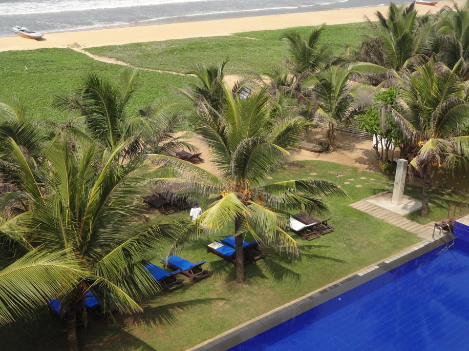 Vom Dach aus auf den Nordpool Hotel Jetwing Sea