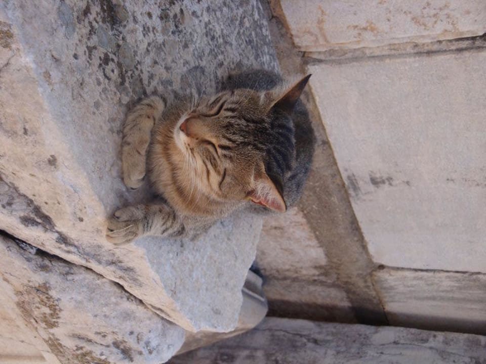 Ich hab keinen Stress Hotel Grand Efe