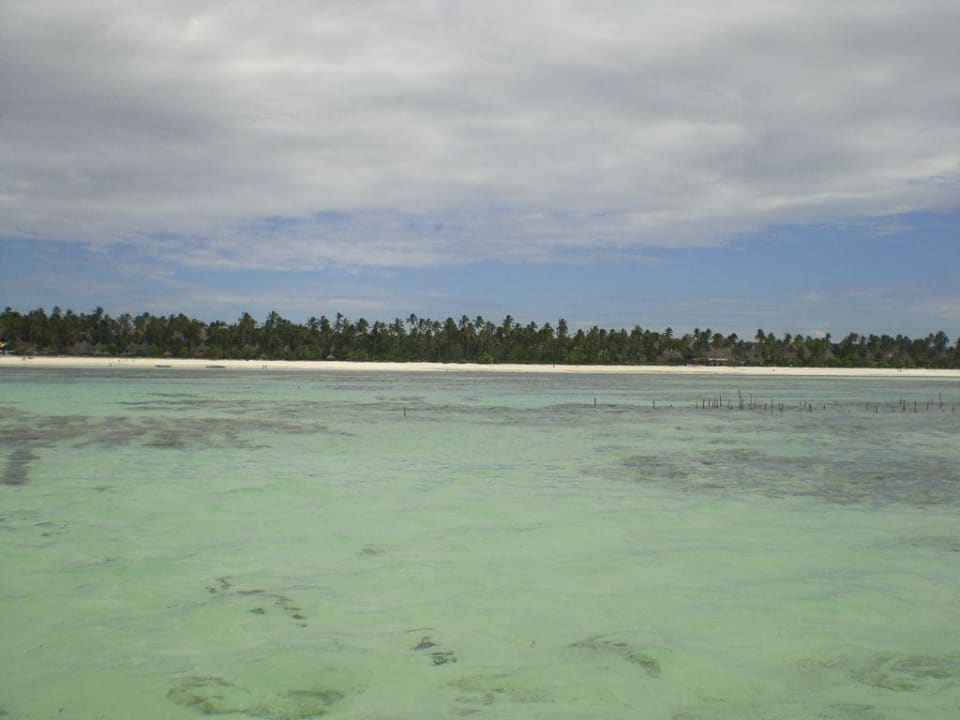 Ausblick Neptune Pwani Beach Resort & Spa