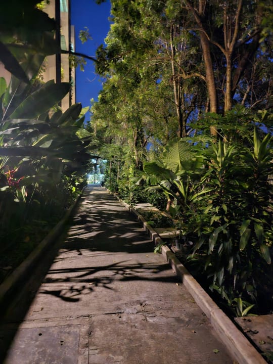 Gartenanlage Hotel Rawai Palm Beach Resort